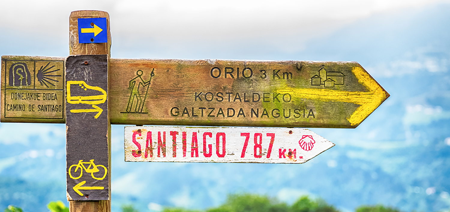 Camino de Santiago de Compostela