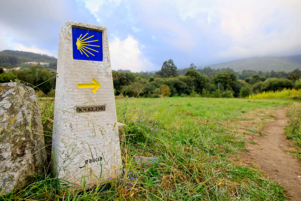 El Camino de Santiago de Compostela