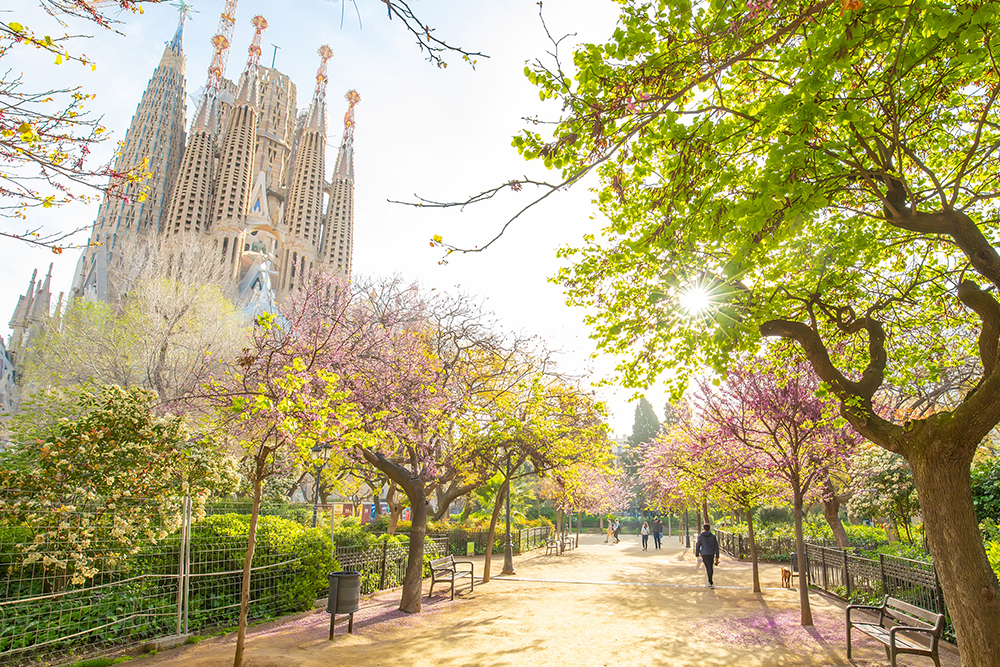 Sagrada Familia in Barcelona Spain