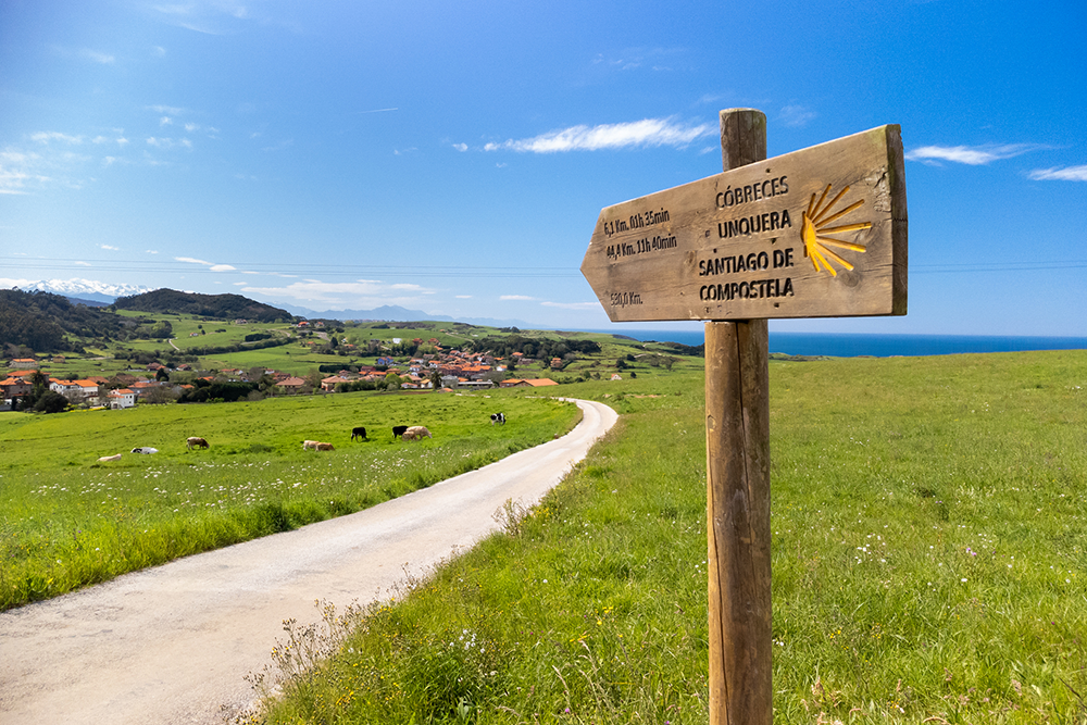 Camino de Santiago de Compostela