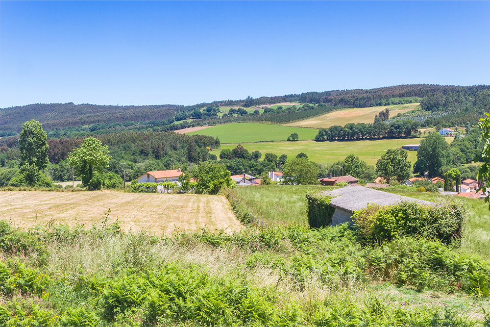 Fields in Melide Spain